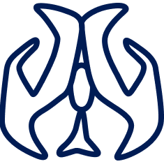 Intraventricular Tumors Treatment